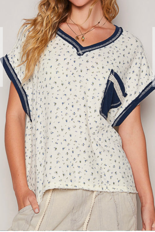Blue Fox Top