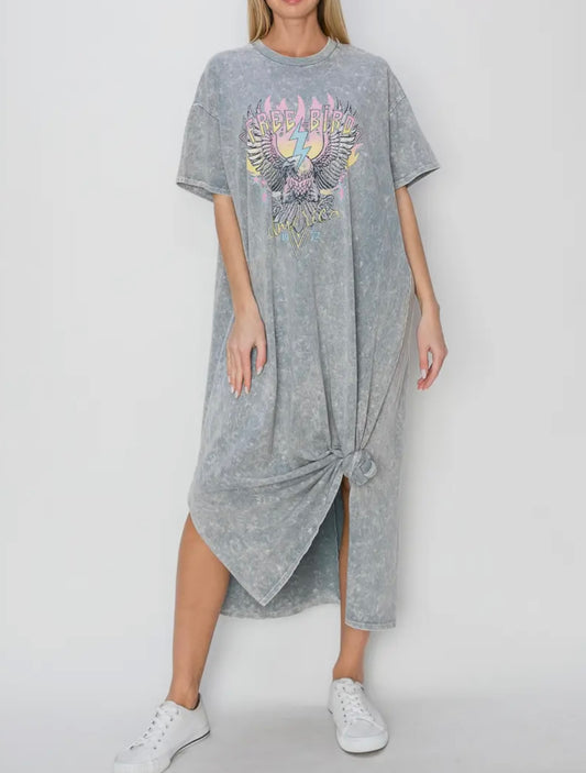 Freebird Steel Dress