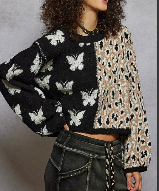 Butterfly away Black Sweater Pol