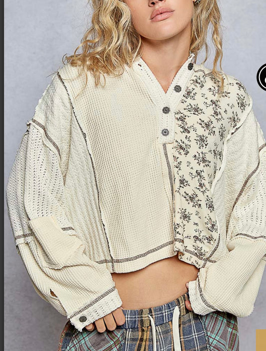 Cream Pol Hoodie